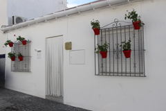 Macetas y flores decoran las calles de la Plaza Baja